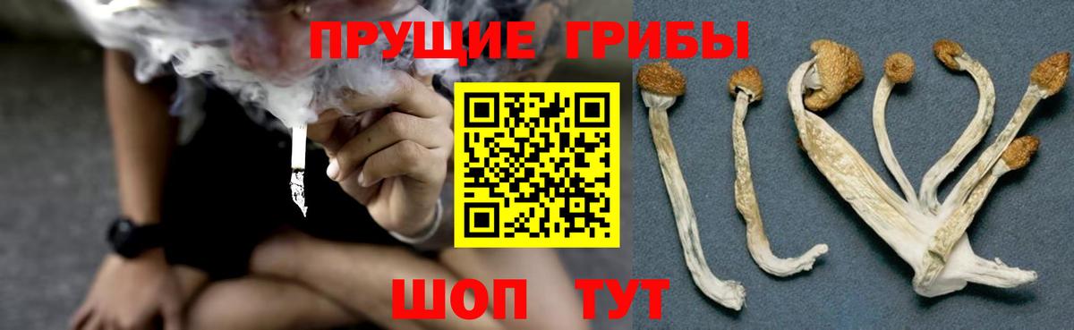 Галлюциногенные грибы ЛСД  Вход с VPN  продажа наркотиков  Кызыл 