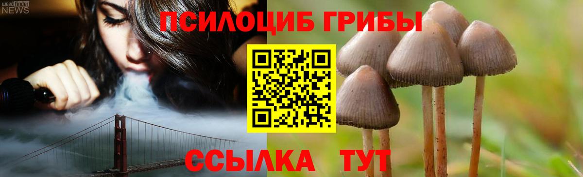 Галлюциногенные грибы MAGIC MUSHROOMS Кызыл
